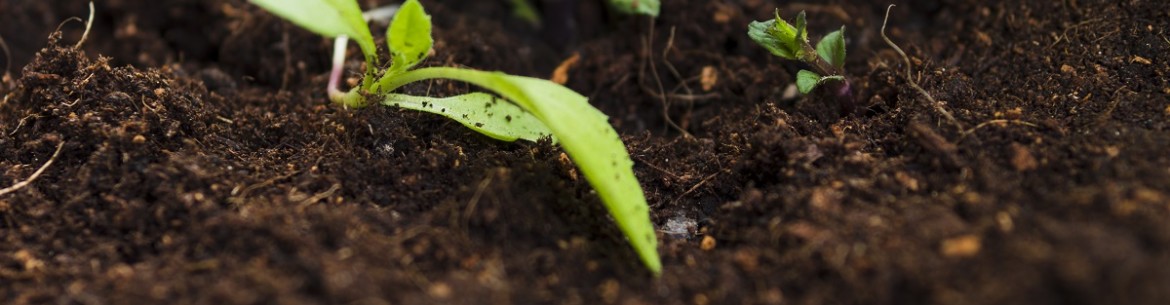 Conseils utiles pour améliorer le sol de votre propriété