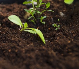 Conseils utiles pour améliorer le sol de votre propriété