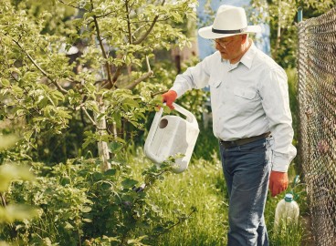 4 conseils essentiels pour l'arrosage des pommiers et une bonne récolte de pommes
