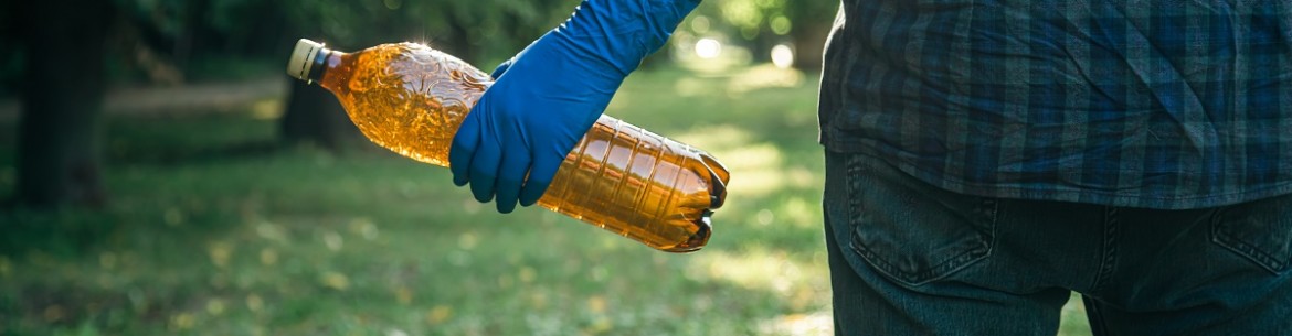 Comment traiter un jardin avec de l'urée en automne : étapes importantes et règles de traitement