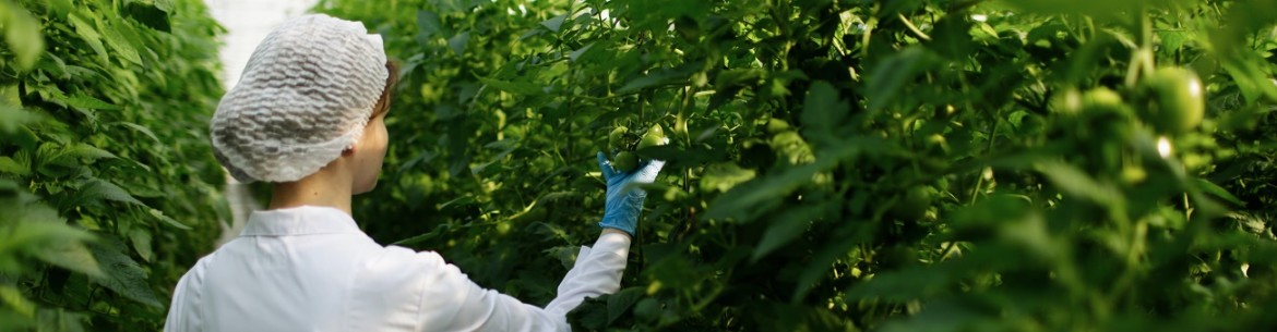 Aktara pour les pommiers