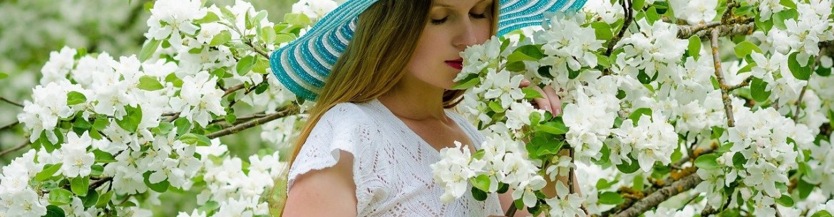 Quand les pommiers fleurissent dans différentes régions de Russie