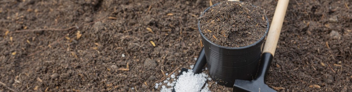 L'azote dans le sol : comment déterminer et normaliser les niveaux d'azote dans votre région