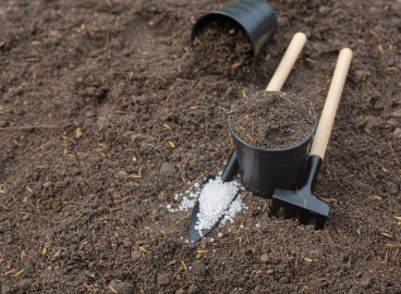 L'azote dans le sol : comment déterminer et normaliser les niveaux d'azote dans votre région