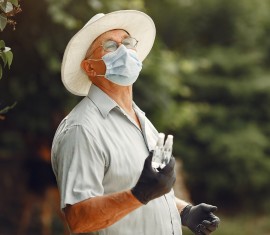 Comment traiter les pommiers avec Fitoverm