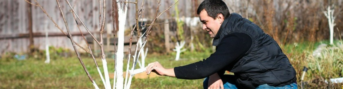 Jardinage en mars : comment obtenir une bonne récolte