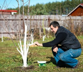 Jardinage en mars : comment obtenir une bonne récolte