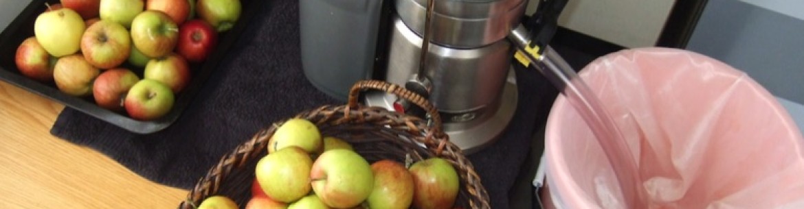 Les 5 meilleurs extracteurs de jus à vis sans fin : un classement des meilleurs modèles de 2021