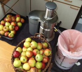 Les 5 meilleurs extracteurs de jus à vis sans fin : un classement des meilleurs modèles de 2021