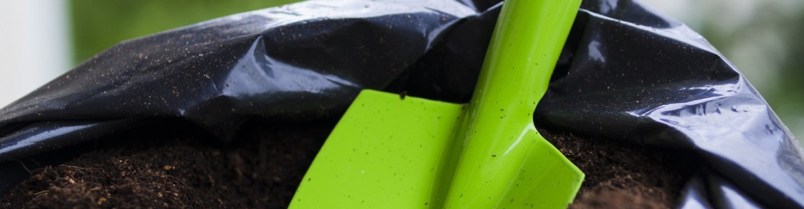 Quelle est la meilleure façon de fertiliser un pommier au printemps ?