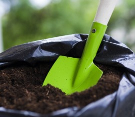 Quelle est la meilleure façon de fertiliser un pommier au printemps ?
