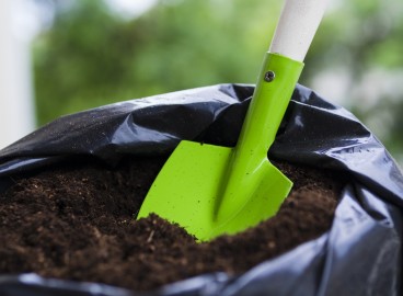Quelle est la meilleure façon de fertiliser un pommier au printemps ?
