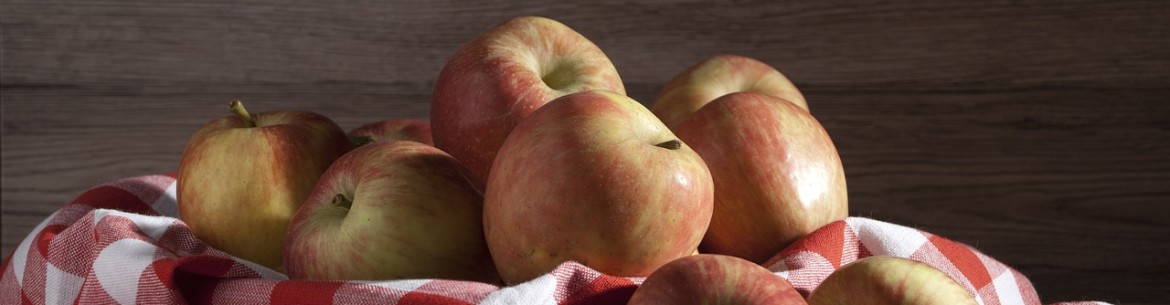 Broyeur à pommes DIY : 3 options de broyeurs fonctionnels