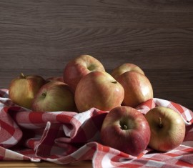 Broyeur à pommes DIY : 3 options de broyeurs fonctionnels