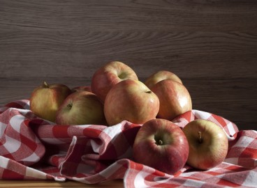 Broyeur à pommes DIY : 3 options de broyeurs fonctionnels