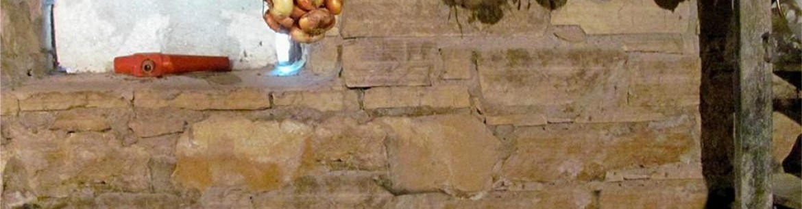 Secrets pour conserver les pommes pour l'hiver dans une cave ou un sous-sol