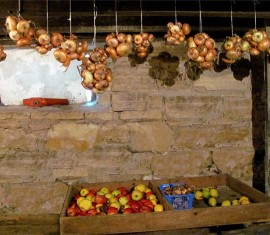 Secrets pour conserver les pommes pour l'hiver dans une cave ou un sous-sol