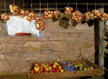 Secrets pour conserver les pommes pour l'hiver dans une cave ou un sous-sol