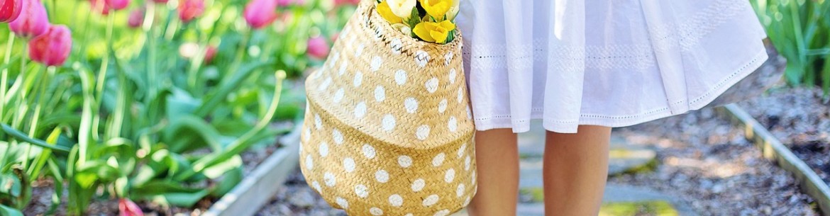 Qu’est-ce que la terre de diatomées et comment l’utiliser au jardin : conseils importants