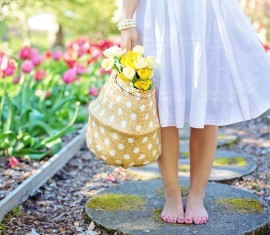 Qu’est-ce que la terre de diatomées et comment l’utiliser au jardin : conseils importants