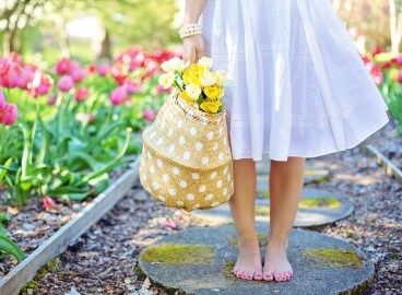 Qu’est-ce que la terre de diatomées et comment l’utiliser au jardin : conseils importants