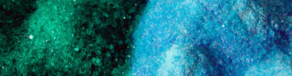 Quel est le meilleur pour le jardin : le sulfate de fer ou le sulfate de cuivre ?