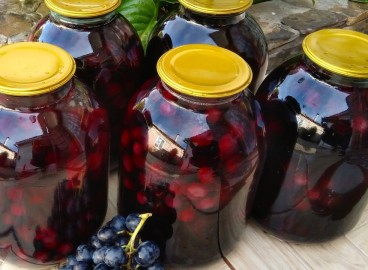 Compote de pommes et de raisins pour l'hiver