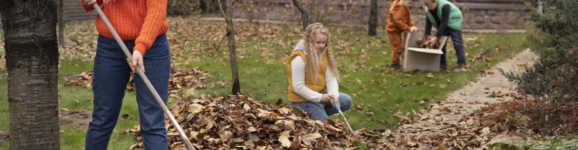 Traitement d'éradication des maladies du jardin en automne : étapes et instructions