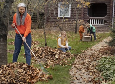 Traitement d'éradication des maladies du jardin en automne : étapes et instructions