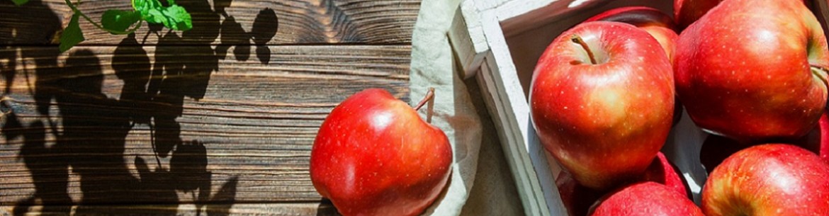 Pourquoi les pommiers se dessèchent : 4 raisons