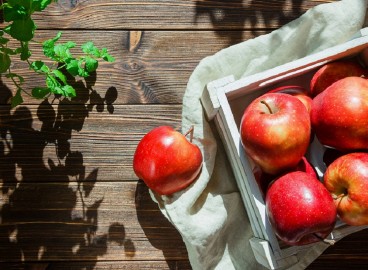 Pourquoi les pommiers se dessèchent : 4 raisons