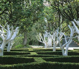 Quand blanchir les arbres du jardin au printemps : gérer les biais