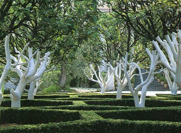 Quand blanchir les arbres du jardin au printemps : gérer les biais