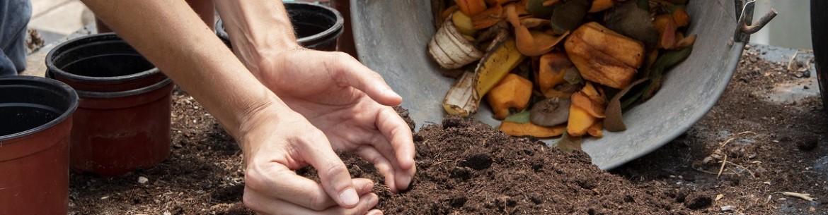 Comment créer un bac à compost : instructions étape par étape et conseils de remplissage