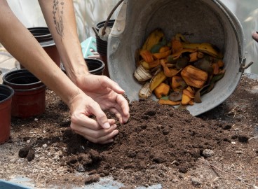 Comment créer un bac à compost : instructions étape par étape et conseils de remplissage