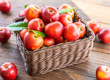 Les 7 variétés de pommes les plus délicieuses pour votre jardin