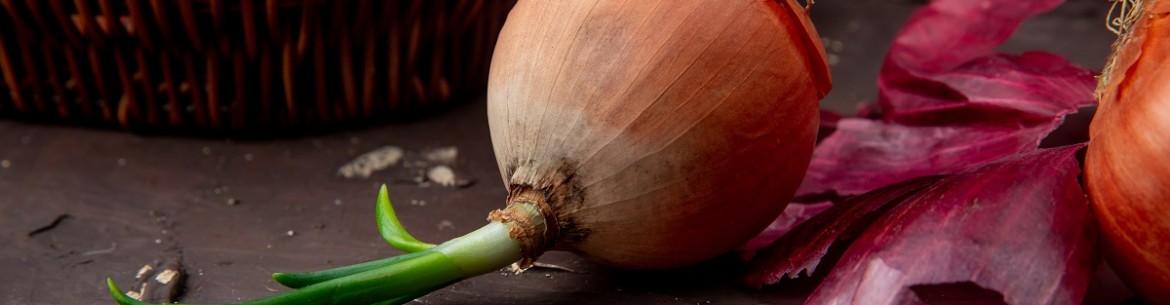 Les pelures d'oignons au jardin : pourquoi elles sont nécessaires et comment les utiliser