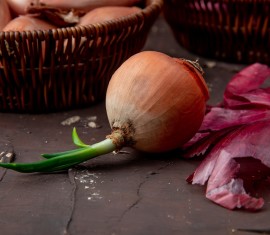 Les pelures d'oignons au jardin : pourquoi elles sont nécessaires et comment les utiliser