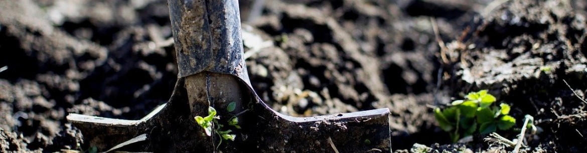 Comment bien préparer le sol et le trou de plantation d'un pommier