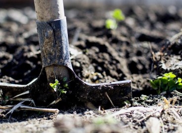 Comment bien préparer le sol et le trou de plantation d'un pommier