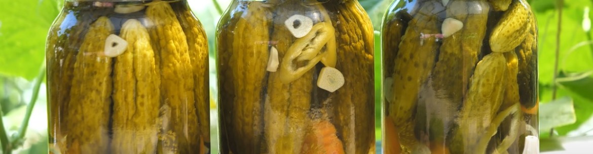 Concombres d'hiver au vinaigre de cidre