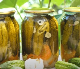 Concombres d'hiver au vinaigre de cidre