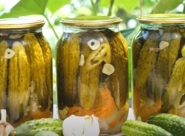 Concombres d'hiver au vinaigre de cidre