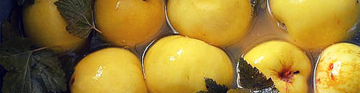 Pommes marinées dans un tonneau : une vieille recette russe