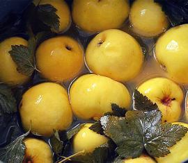 Pommes marinées dans un tonneau : une vieille recette russe