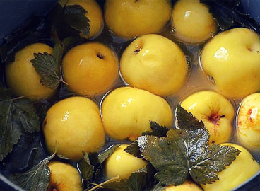 Pommes marinées dans un tonneau : une vieille recette russe