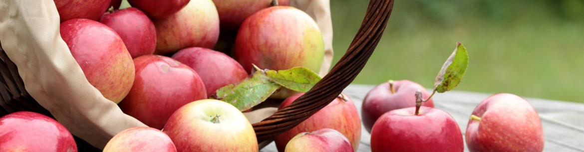 Pourquoi il ne faut pas manger de pommes avant Apple Savior