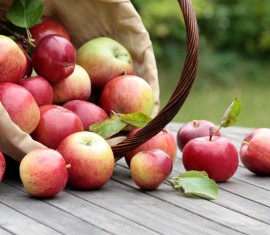 Pourquoi il ne faut pas manger de pommes avant Apple Savior