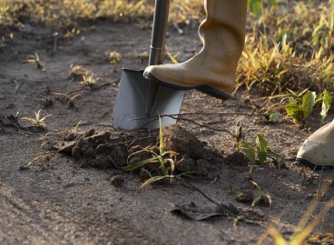 Bêcher la terre en automne : est-ce nécessaire et comment le faire correctement ?