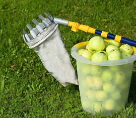 Cueille-pommes à faire soi-même : 5 idées utilisant des objets du quotidien